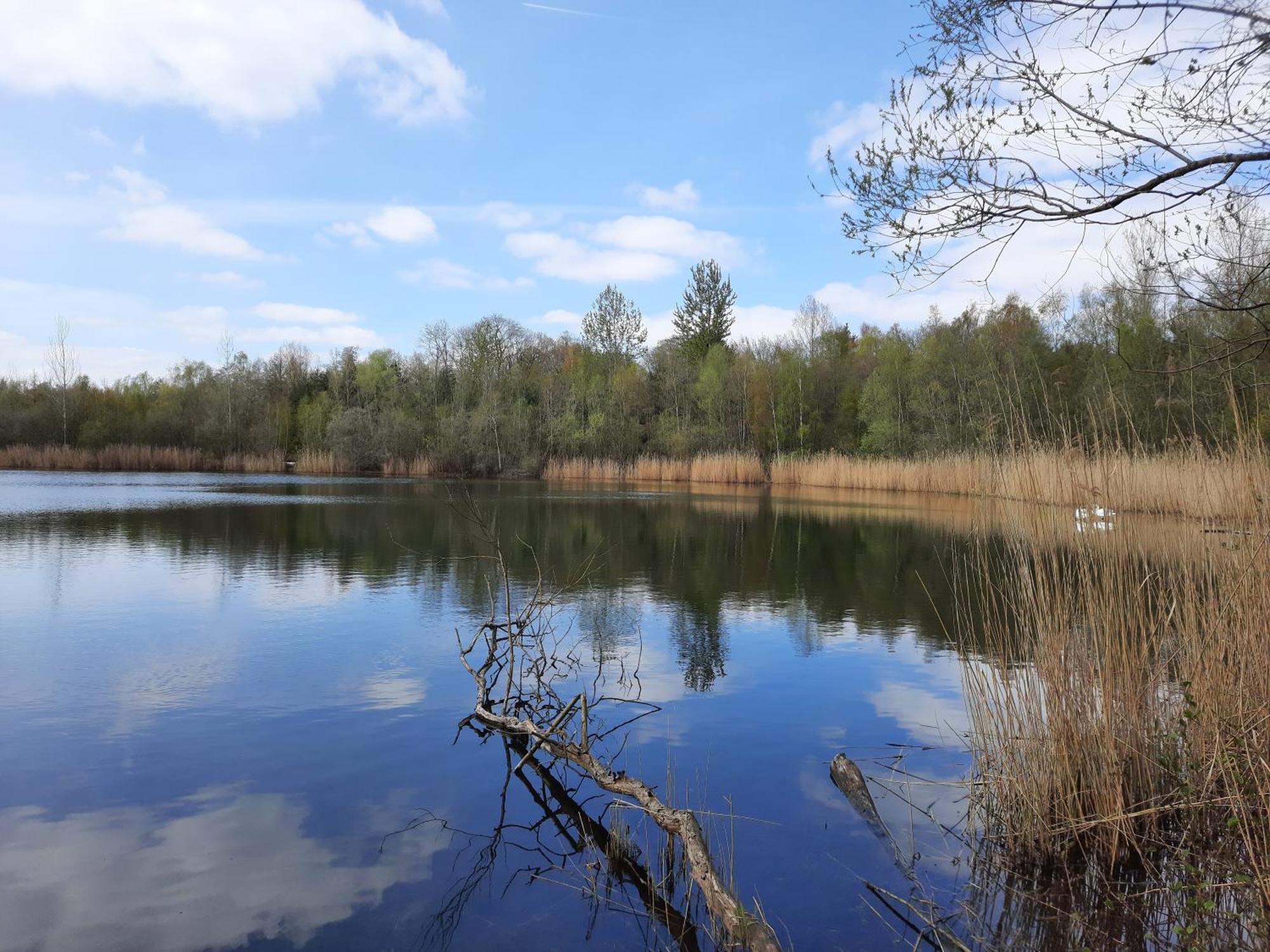 Ferienhaus Am See Goch Kessel Værelse billede